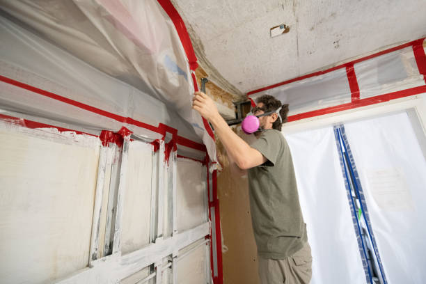 Best Attic Mold Removal  in Collinwood, TN